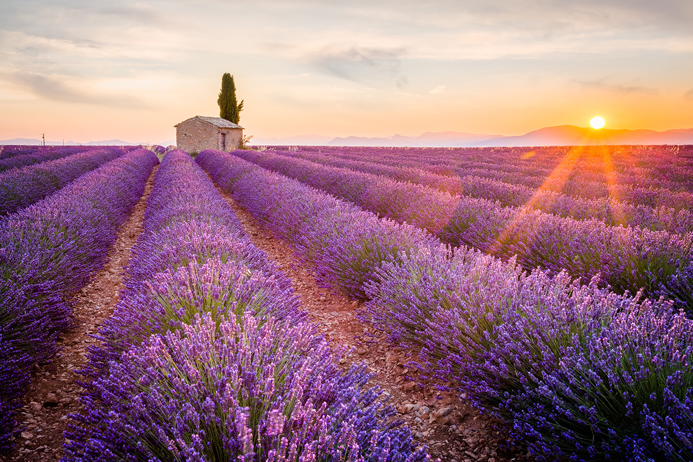 Add on a 2 night stay in the Luberon among the magical lavender fields